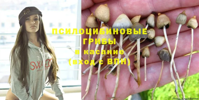 Галлюциногенные грибы Cubensis  OMG сайт  Шахты 